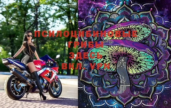 стафф Горнозаводск
