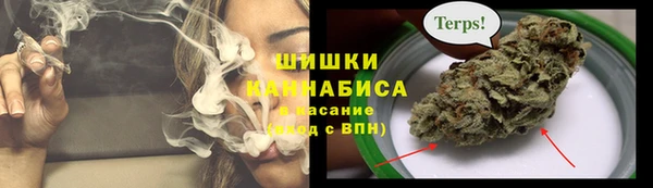 a pvp Гусев