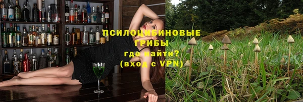 a pvp Гусев
