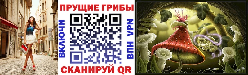 Купить где  Ржев  Псилоцибиновые грибы мицелий 