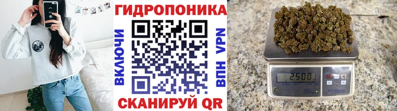 Купить где  Ржев  Канабис ГИДРОПОН 